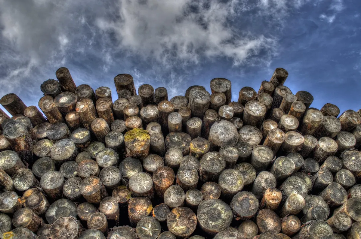How to Season Firewood at Home: A Month-by-Month Guide